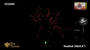 OC6490