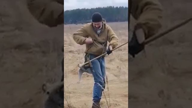 Начальный этап тренировки Сокола для соколиной охоты