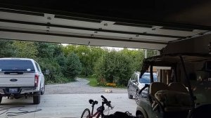 My Alabai dogs, Michigan.алабаи в Америке