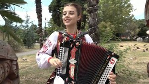 Диана Рабочая Гармошка Праздничная