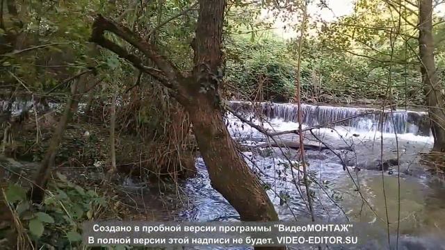 Черноречье.
