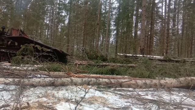 Трелевка на ТДТ 55 смотреть онлайн