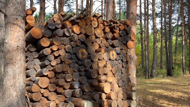 Где отдохнуть в Тюмени? Обзор ЭКОПАРКА Затюменский