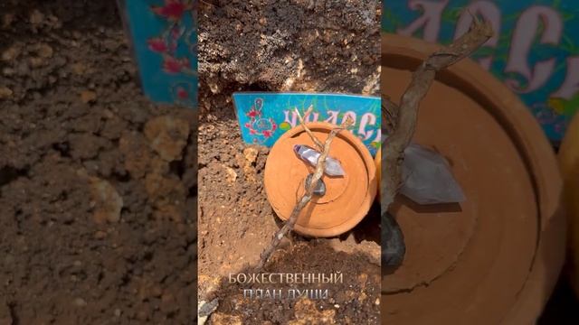 Предание земле плаценты ребенка.