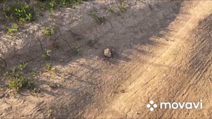 Мопед Nordwind, ответы на вопросы, мысли.