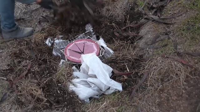 ТОП ЛОВУШКА на куропатку. Ставлю новую ловушку. Ловушка своими руками. Охота на куропатку. Лайфхак.