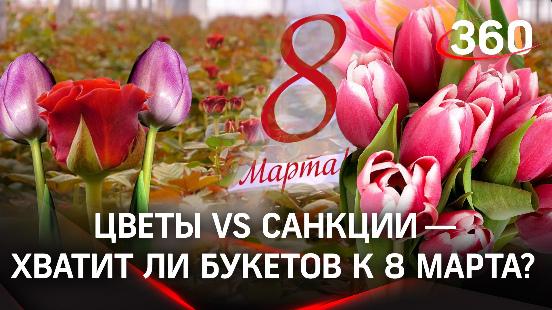 Как санкции повлияли на поставки цветов? Будет ли дефицит перед праздниками?