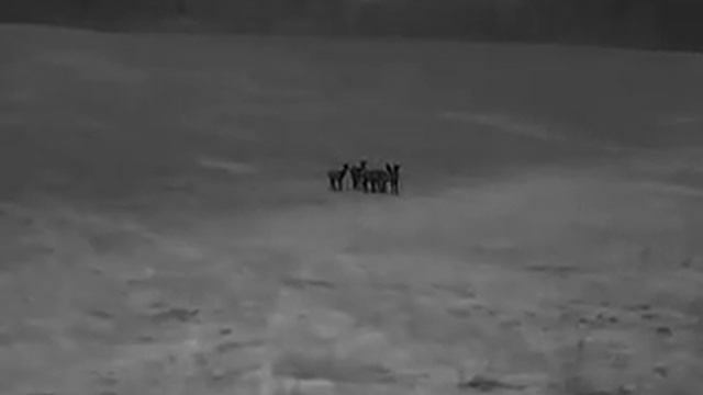 guide track ir25 смотреть онлайн