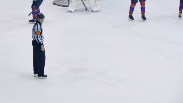 1-й период: Метеор - Альфа-Арсенал (16 февраля 2020) www.hcmeteor.ru смотреть онлайн