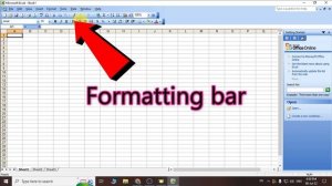 Day 3 - Introduction to Ms Excel | Microsoft Excel 2003 | Tiger Army | 2022