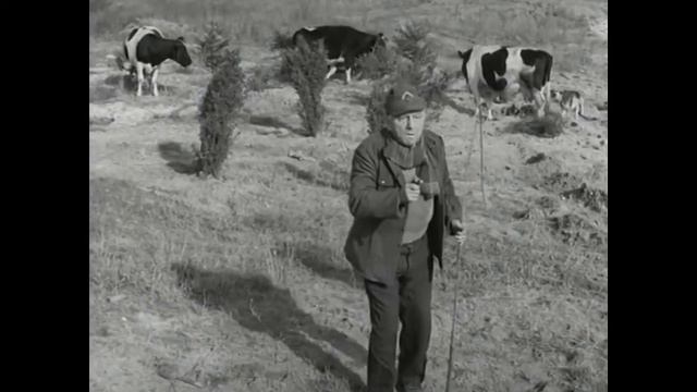 Четыре танкиста и собака. 16 серия/Дальний дозор. смотреть онлайн