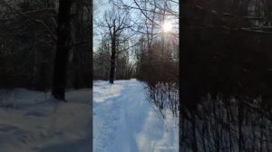 Гатчинский район. Орлино. Проход через Парк к Орлинскому озеру. Зима, Февраль 2023.