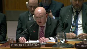 Vassily Nebenzia on a draft resolution on cross-border humanitarian assistance mechanism for Syria