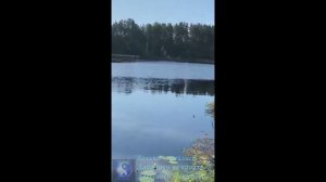Одно удовольствие щучку на удочку поймать.