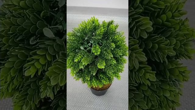 Bonsai || Box || Fern || Artificial Plant