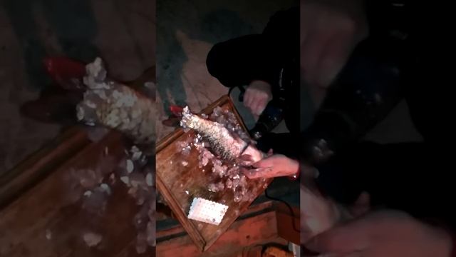 Как почистить рыбу можно дрелью ))) -How to clean a fish you can drill смотреть онлайн
