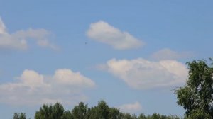 Река Уча Некрасовская Сухарево 20220626