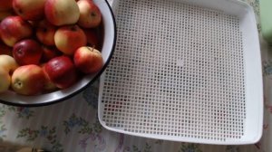 Яблочные чипсы.