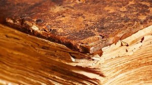 Sting-The Book of my Life Lyrics