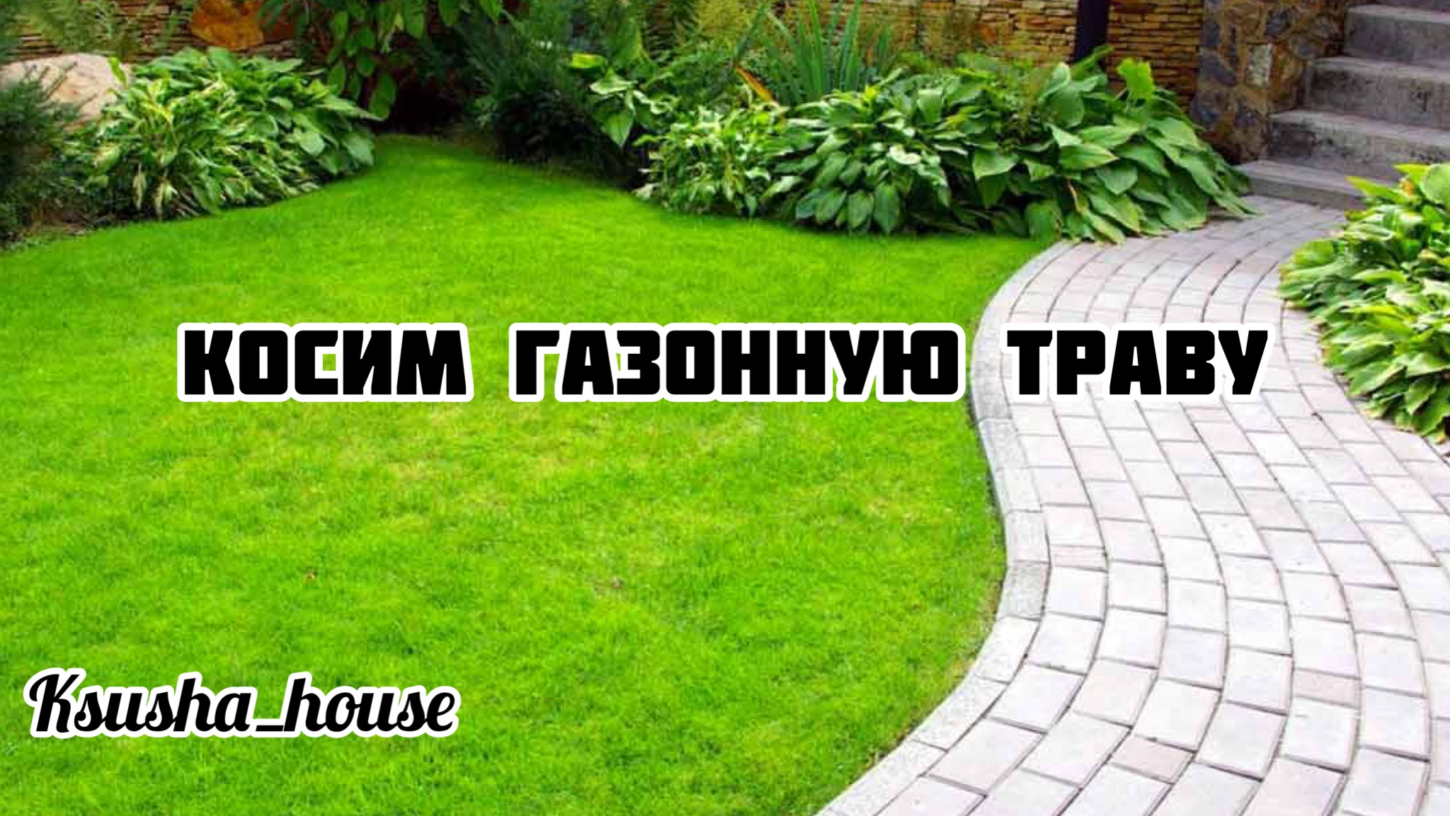 Косим газонную траву. #shorts