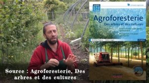 Tout sur les cultures associées. L'art de bien mélanger vos légumes