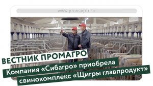 ВЕСТНИК ПРОМАГРО Компания «Сибагро» приобрела свинокомплекс «Щигры главпродукт»