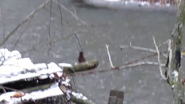 MVI 0281 смотреть онлайн