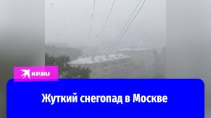 Майский снегопад удивил гостей и жителей Москвы