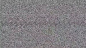 Thank you Steve Hillenburg (21.08.1961—26.11.2018)