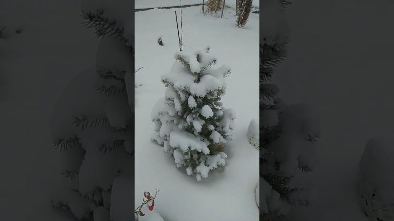 На Юге первый снег в феврале