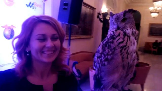 Что?Где?Когда? Астория,Санкт-Петербург 2015 смотреть онлайн