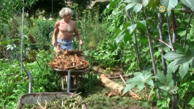 ФРАНЦУЗСКИЙ САД НЕ ТРЕБУЮЩИЙ УХОДА! смотреть онлайн