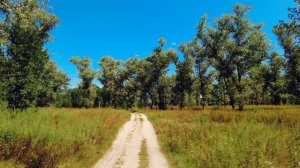 Гомель. Нудистский пляж.mp4