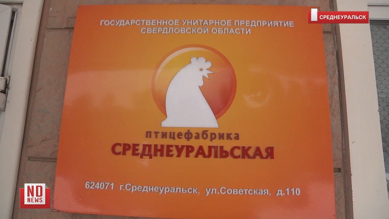 Опасные цеха Среднеуральской птицефабрики продолжат работать