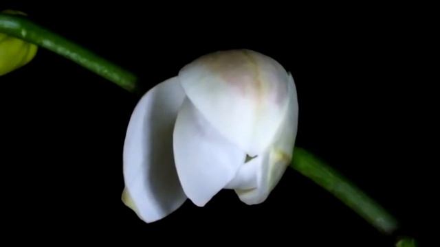 "Миннән сиңа сәлам!" 736 нчы тапшыру 1 нче бүлеге смотреть онлайн