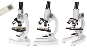 7 Микроскоп с Алиэкспресс Microscope Aliexpress Полезные гаджеты для учебы и работы из Китая Наука