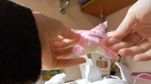 открываем сюрприз - бокс для уточки Лала фан фан