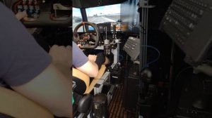 American Truck Simulator - Везу груз из Элко (Невада) в Сан Хосе (Калифорния) - Вертикальное видео