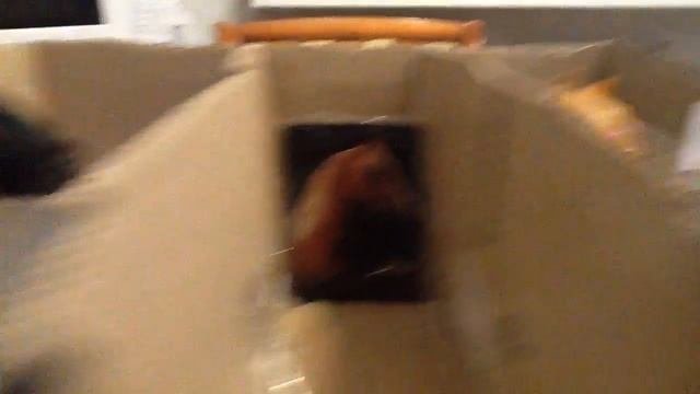 ОБЗОР ПО НОВОЙ КОНЮШНИ!!!!!!!!)))))))