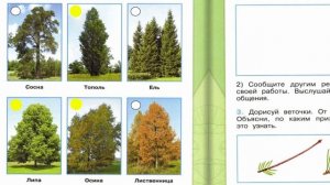 Окружающий мир. Рабочая тетрадь 1 класс 1 часть. ГДЗ стр. 17 №1