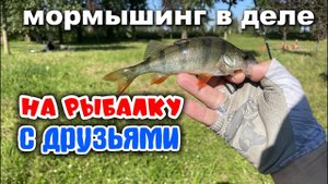 Мормо РЫБАЛКА с Друзьями!!  (канал "На рыбалку с Лёхой") #мормышинг #стритфишинг #streetfishing