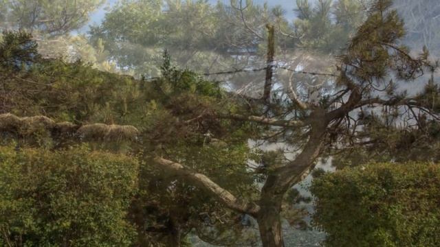 ИЗ ВОСПОМИНАНИЙ О СЕВ. КАВКАЗЕ.. (Фото Александры Евы (М), музыка - Арм. нар. песня "О, моя краса!" смотреть онлайн