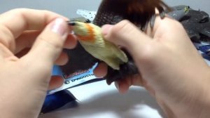 СЮРПРИЗЫ пакетики ЯСТРЕБЫ & Ко МАКСИ от DeAGOSTINI #2 Классные ИГРУШКИ ДЛЯ ДЕТЕЙ - липкие и мягкие