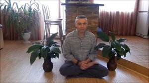 Брахмачарья- пятый принцип ямы.