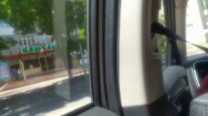 ВЛОГ купили щенка! Щенок миттельшнауцера! Часть 1