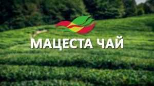МАЦЕСТА ЧАЙ