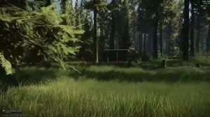 Самый дорогой, ценный, важный, лут в Таркове.Лес!