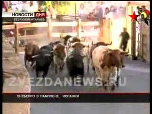 Бега быков в Испании
