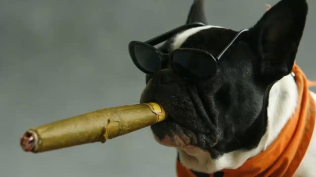 Анегдоты! Юмор! Позитив! смотреть онлайн