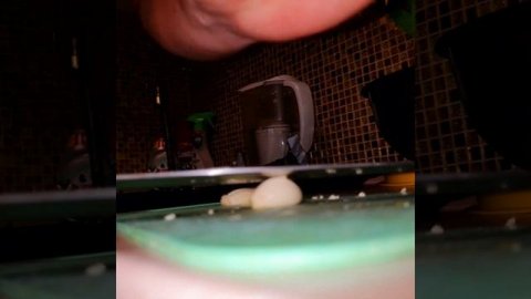 салат с мидиями #салат #легкий #вкусный #рецептсалата #морепродукты #food #мидии #быстроеблюдо #еда